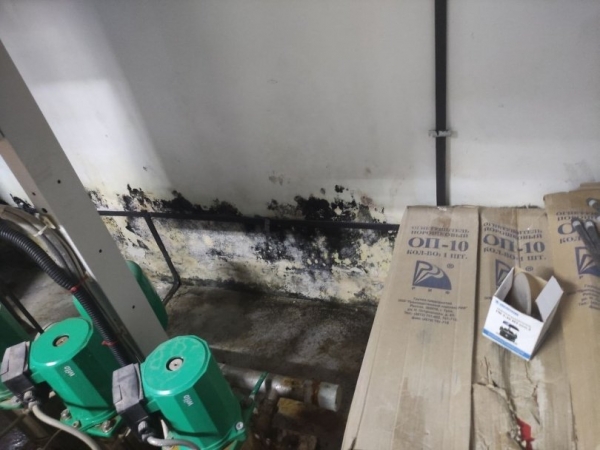 В Уфе жители ЖК «Эдисон» пожаловались на сырость и плесень в домах В Уфе жители ЖК «Эдисон» пожаловались на сырость и плесень в домах