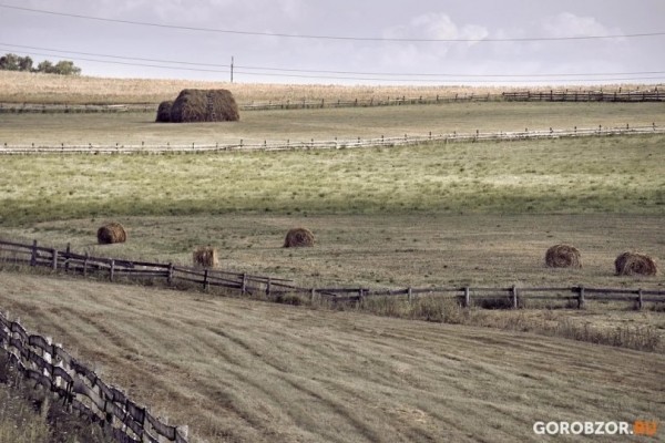Аграрии Башкирии приобрели сельхозтехнику на 7 млрд рублей  Аграрии Башкирии приобрели сельхозтехнику на 7 млрд рублей