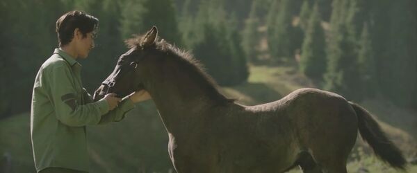 Комедии, этно-драмы, притчи: какое кино снимают в регионах России