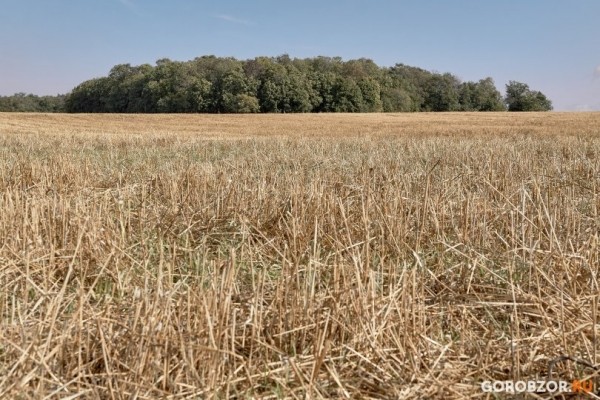 Режим чрезвычайной пожароопасности в Башкирии продлен на неделю 
