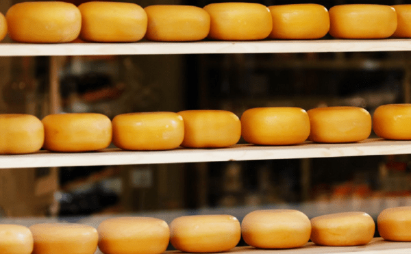 
                    Россельхознадзор требует изъять 500 кг башкирского сыра из розницы Москвы

                