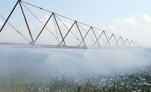 В проект повышения урожайности на юге Башкирии планируют вложить ₽770 млн
                 
                    В проект повышения урожайности на юге Башкирии планируют вложить ₽770 млн