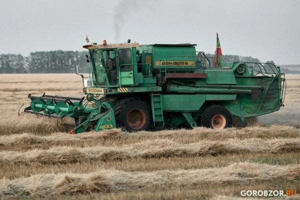 В Башкирии названы районы-лидеры по валовому намолоту зерна 
