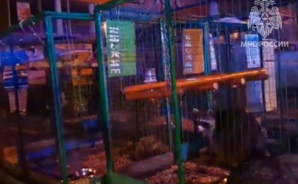 
                    Из горящего ТЦ «Меркурий» в Уфе эвакуировали контактный зоопарк

                