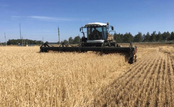 Урожай зерновых в Башкирии превысил 4 млн тонн
Урожай зерновых в Башкирии превысил 4 млн тонн