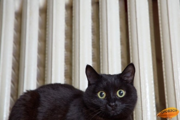 Стало известно, почему жители Башкирии получили счета за отопление за 2019 год 