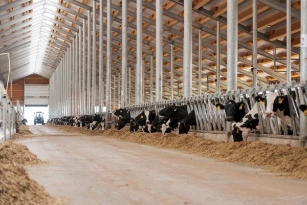 В Башкирии завершили строительство животноводческого комплекса в Ермекеевском районе 