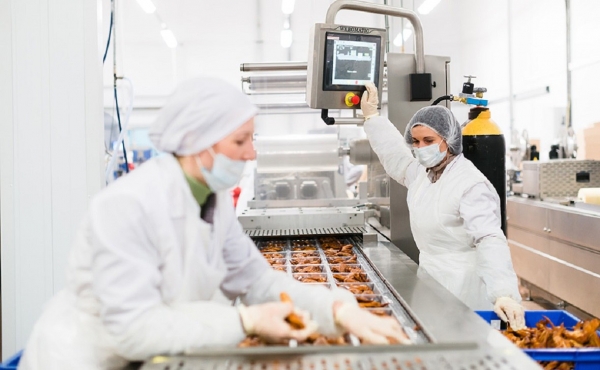 
                    «Ставропольский бройлер» может купить ГК «Русское зерно» в Башкирии

                