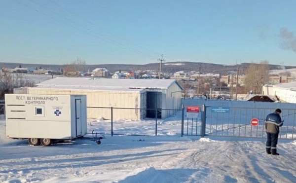 Из-за псевдочумы на птицеферме в Башкирии уничтожили девять тысяч птиц
                 
                    Из-за псевдочумы на птицеферме в Башкирии уничтожили девять тысяч птиц