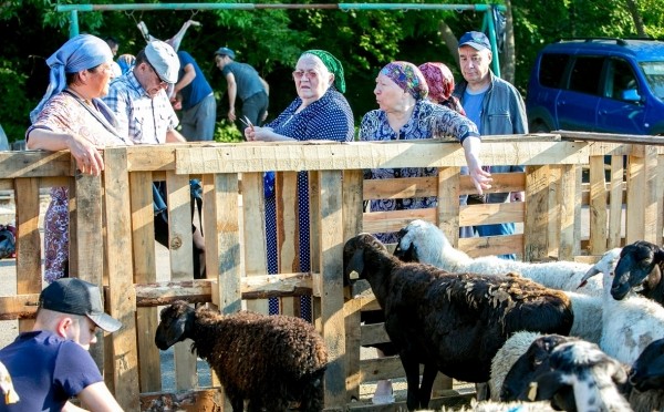 Объем господдержки занятости сельского населения в Башкирии вырос на 50%
                 
                    Объем господдержки занятости сельского населения в Башкирии вырос на 50%