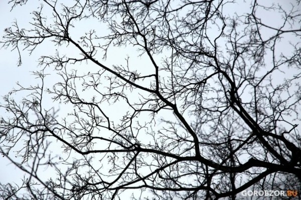 В Башкирии 35-летний мужчина пропал после корпоратива В Башкирии 35-летний мужчина пропал после корпоратива