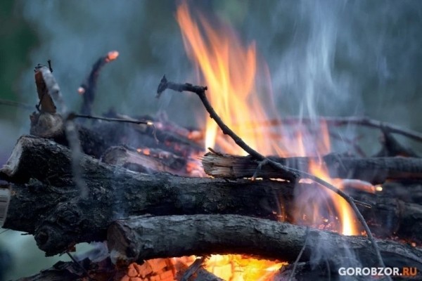 В Башкирии с завтрашнего дня вводится особый противопожарный режим 
