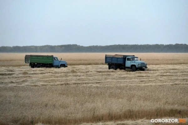 В Башкирии предложили изымать неиспользуемые земли сельхозназначения