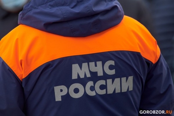 В МЧС прокомментировали информацию об объявлении воздушной тревоги и угрозе ракетного удара