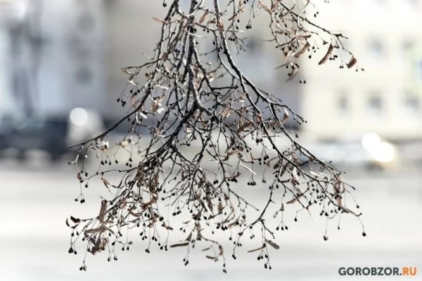 Жителям Башкирии напомнили о короткой рабочей неделе