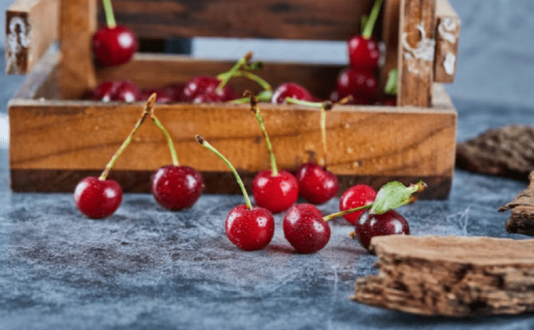 
                    В Башкирии инвестируют ₽100 млн в сады с эхинацеей, вишней и бузиной

                