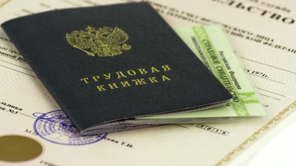 Лидерами по темпу роста числа занятых в 2022 году стали Севастополь, Тува и Ингушетия Лидерами по темпу роста числа занятых в 2022 году стали Севастополь, Тува и Ингушетия