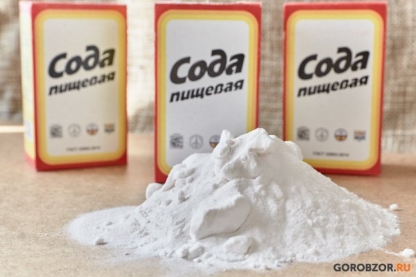 Владимир Путин подписал указ о передаче акций БСК «Русскому водороду» Владимир Путин подписал указ о передаче акций БСК «Русскому водороду»