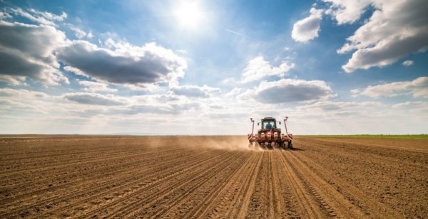 Россельхозбанк в Башкортостане вдвое увеличил льготное кредитование АПК Россельхозбанк в Башкортостане вдвое увеличил льготное кредитование АПК