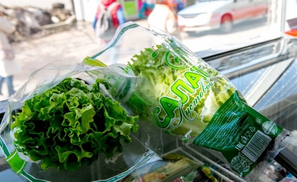 
                    В производство овощей и салата на северо-востоке Башкирии вложат ₽1 млрд

                