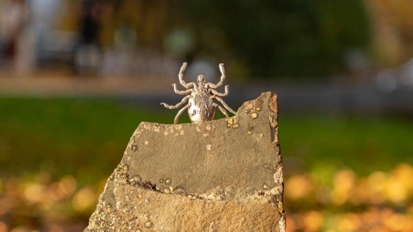 Роспотребнадзор просит подростков, укравших клеща Валеру в Уфе, вернуть памятник на место