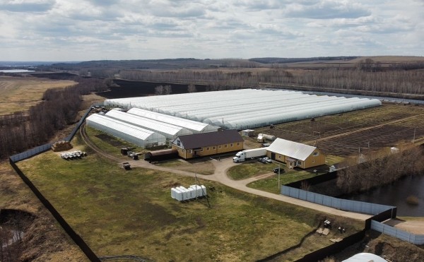 
                    КХ «Бэхетле» инвестирует 260 млн рублей в тепличный комбинат в Башкирии

                