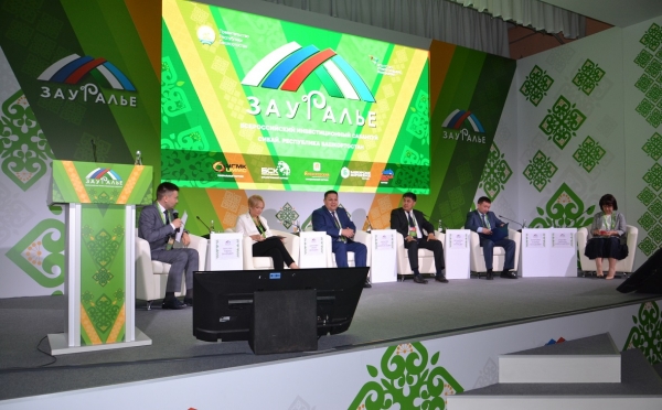 
                    Сайт инвестфорума «Зауралье» в Башкирии подвергся атаке из Украины

                