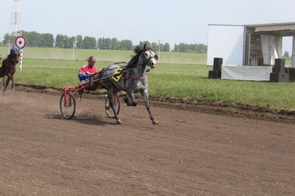 Радий Хабиров рассказал о бизнесмене из Башкирии