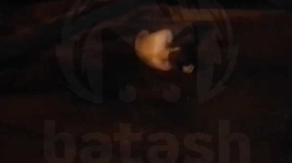 18-летний нетрезвый уфимец выпал из окна и решил поспать на асфальте