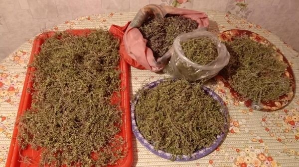 В башкирском Ильтуганово дети со своими бабушками собирают участникам СВО травы для чая