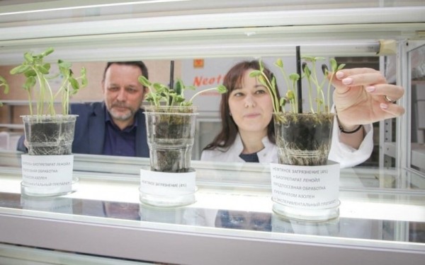 «Можно гордиться»: профессор РАО рассказала, как Евразийский НОЦ трансформирует науку и образование