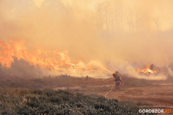 В Башкирии вспыхнул очередной лесной пожар