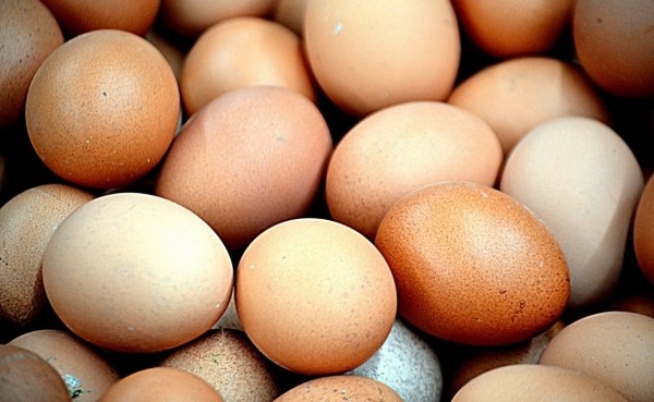 
                    Из торговых сетей изымут часть продукции «Птицефабрики «Башкирская»

                