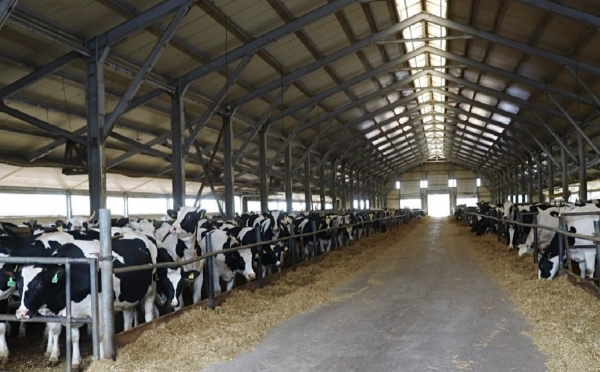 Оренбургская «А7 Агро» вложит 740 млн в развитие фермы в Башкирии
                 
                    Оренбургская «А7 Агро» вложит 740 млн в развитие фермы в Башкирии