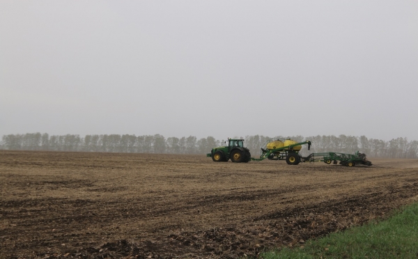 Площади озимых культур в Башкирии предлагают увеличить почти в два раза
                 
                    Площади озимых культур в Башкирии предлагают увеличить почти в два раза