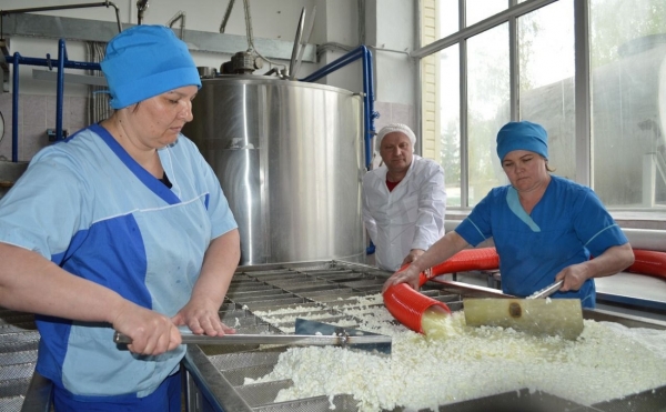 В производство молочных продуктов в Башкирии вложат 292 млн рублей
В производство молочных продуктов в Башкирии вложат 292 млн рублей
