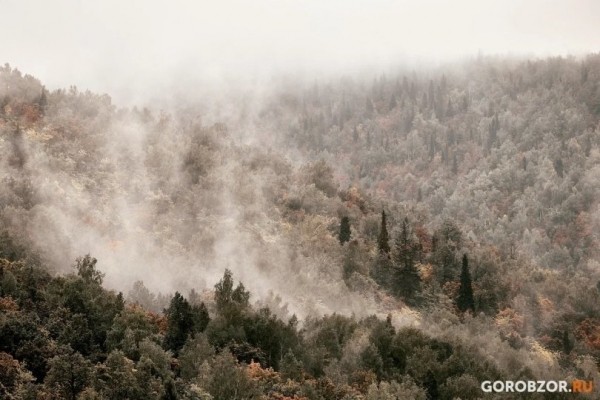 10 человек потерялись в лесах Башкирии за сутки