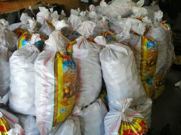 Жители села Кляшево в Башкирии вырастили поле овощей для участников спецоперации