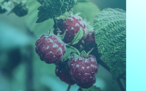 Мэрия Уфы не смогла обязать ПСК-6 построить школу и детсады в новом ЖК
Мэрия Уфы не смогла обязать ПСК-6 построить школу и детсады в новом ЖК