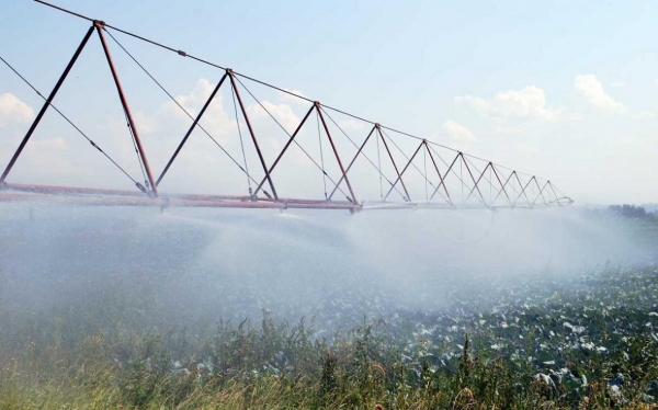 На проекты мелиорации в Башкирии 2023 году направили ₽250 млн
На проекты мелиорации в Башкирии 2023 году направили ₽250 млн