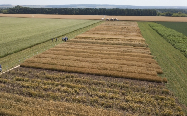 
                    Площадь выданных без торгов земель в Башкирии выросла в 17 раз

                