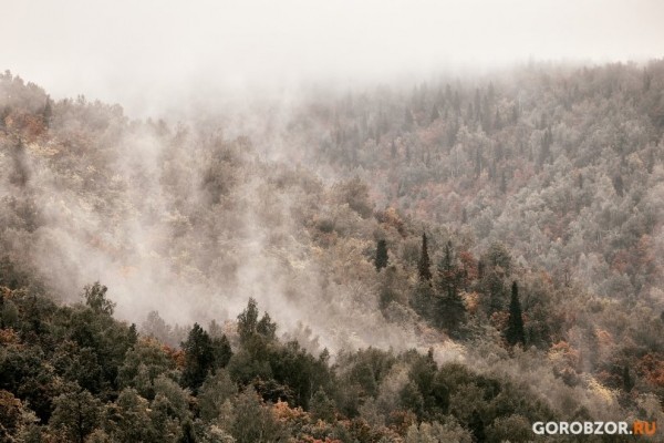 В Башкирии в районе спортивно-оздоровительного комплекса пропал мужчина В Башкирии в районе спортивно-оздоровительного комплекса пропал мужчина