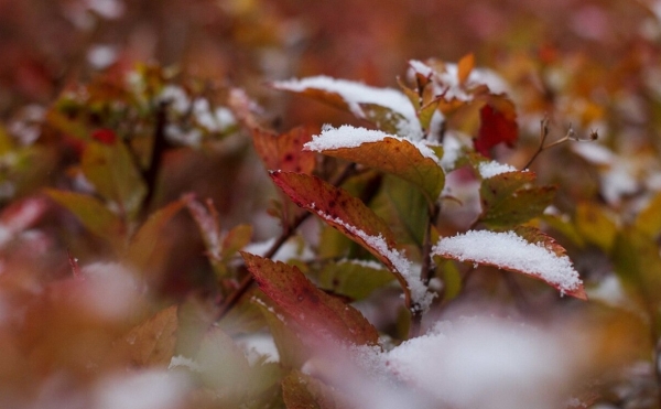 
                    В выходные синоптики спрогнозировали мокрый снег с дождем в Башкирии

                