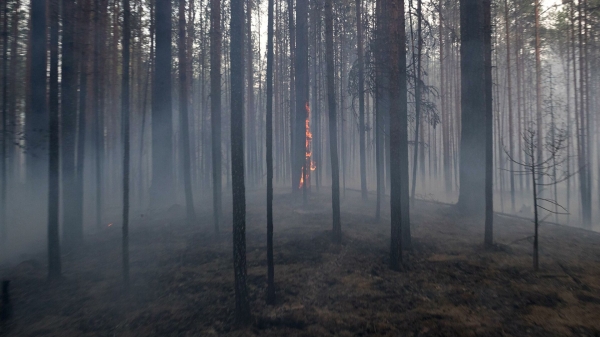 В Башкирии более 800 человек, включая 750 детей, эвакуировали из лагеря из-за природного пожара В Башкирии более 800 человек, включая 750 детей, эвакуировали из лагеря из-за природного пожара