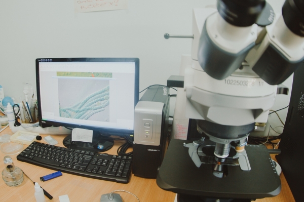 В БГПУ им. М.Акмуллы начал работу совет по биологии ФУМО «Биологические науки» В БГПУ им. М.Акмуллы начал работу совет по биологии ФУМО «Биологические науки»