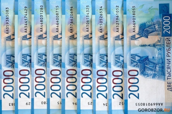 Французы инвестируют в башкирское пчеловодство 3,8 млрд рублей 