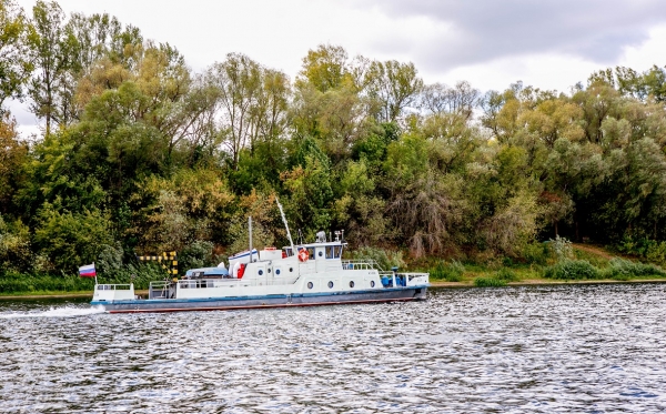 
                    Часть острова Козарез в Уфе сдадут за ₽15 млн под туристический комплекс

                