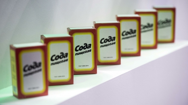 Акции "Башкирской содовой компании" перечислили на счет Росимущества