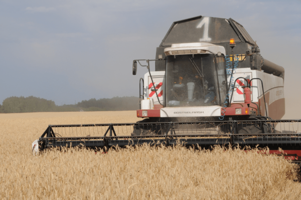 Хлеборобы Башкортостана собрали почти 1,3 млн тонн зерна 