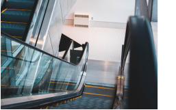 
                    Госдума отклонит законопроект из Башкирии о маркировке домашних животных

                